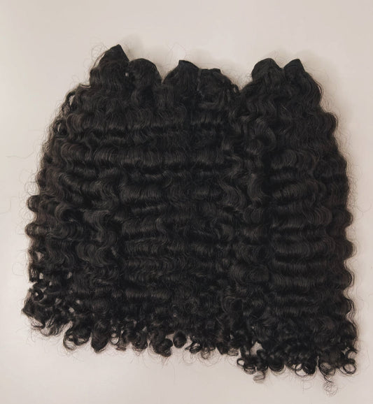 Burmese curly